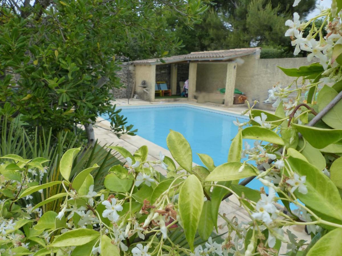 הוילה איל-סור-לה-סורג La Quietude De St Antoine - Piscine Privee מראה חיצוני תמונה